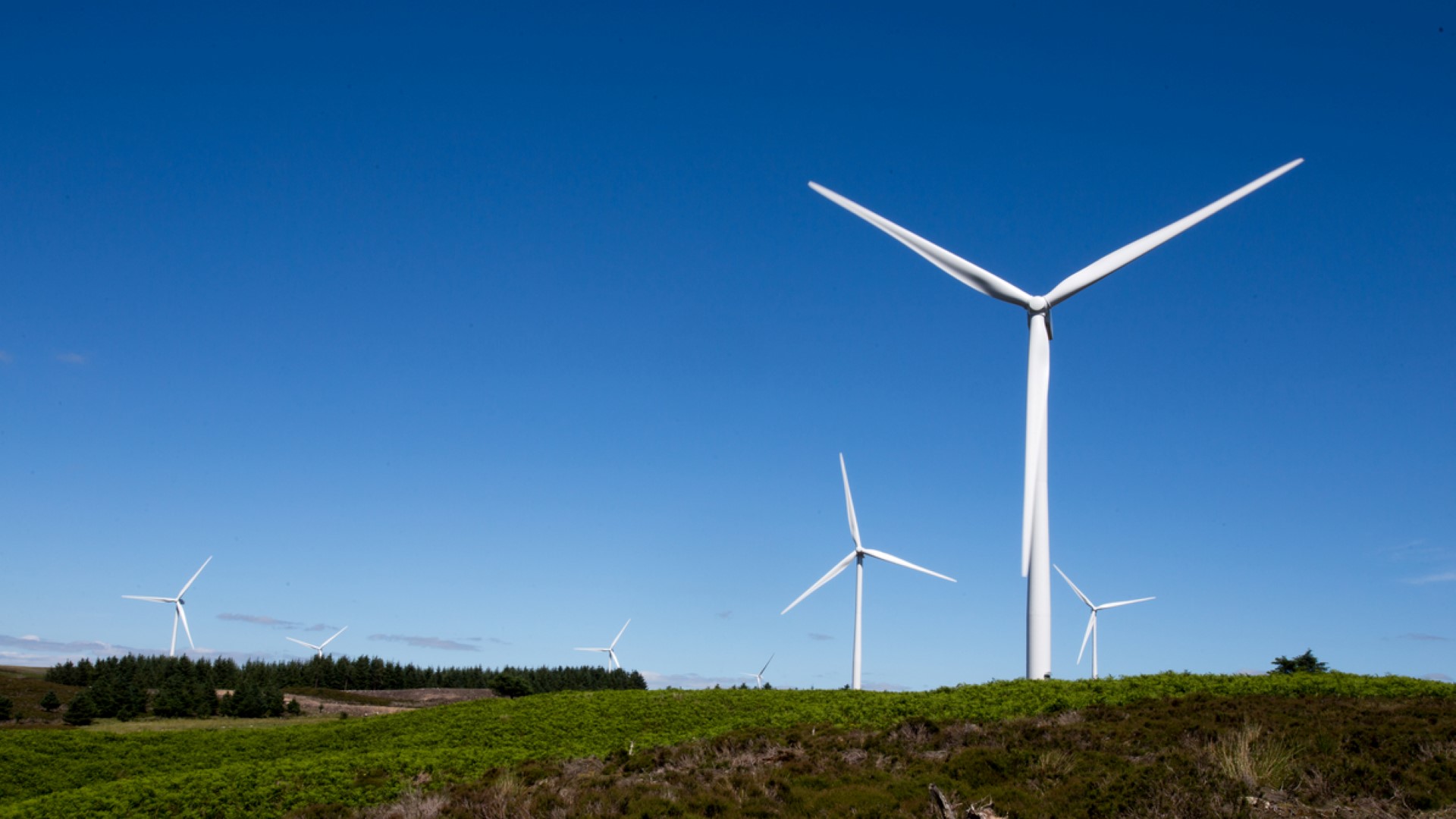 Ray Wind Farm