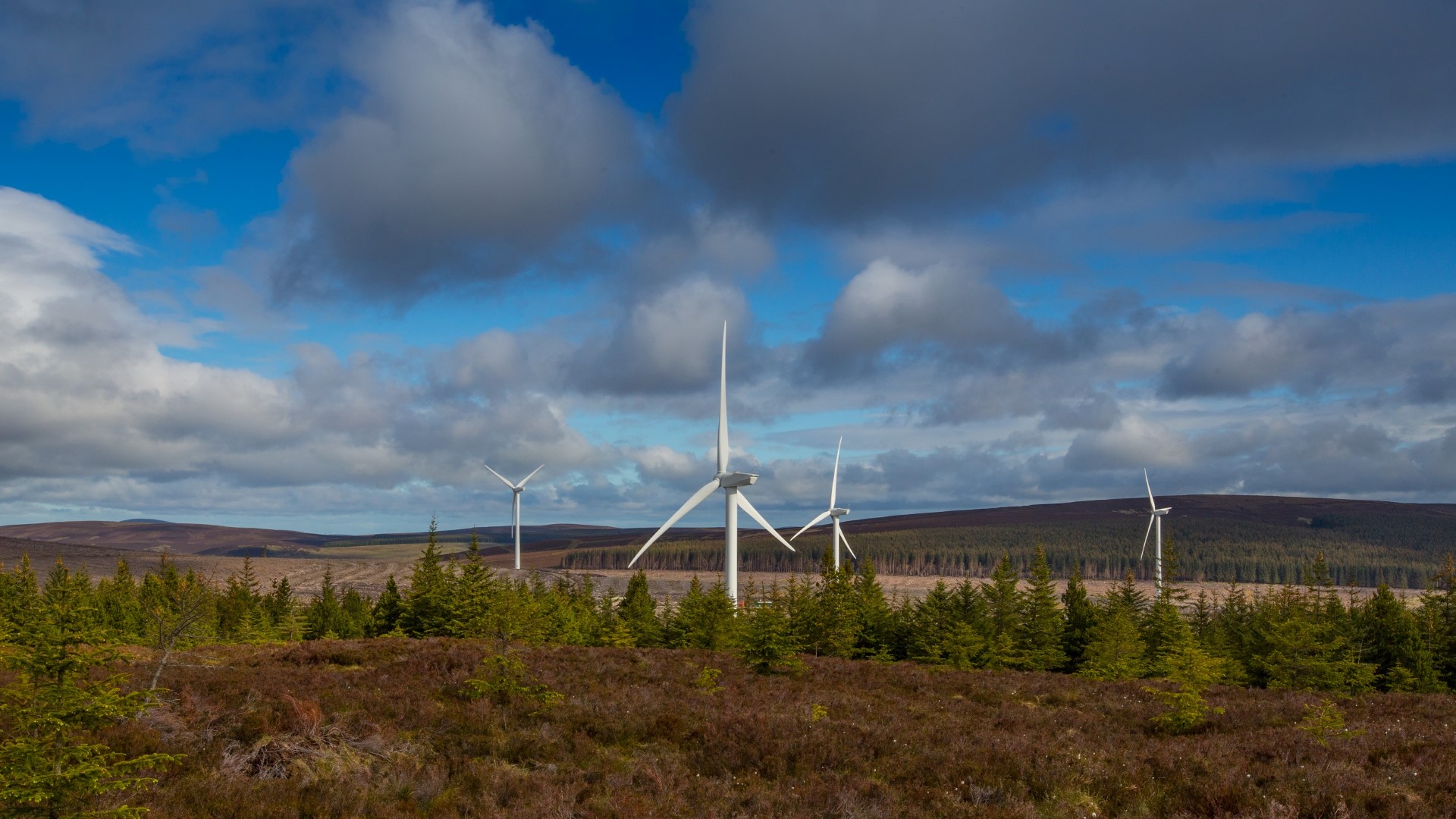 Clashindarroch Wind Farm