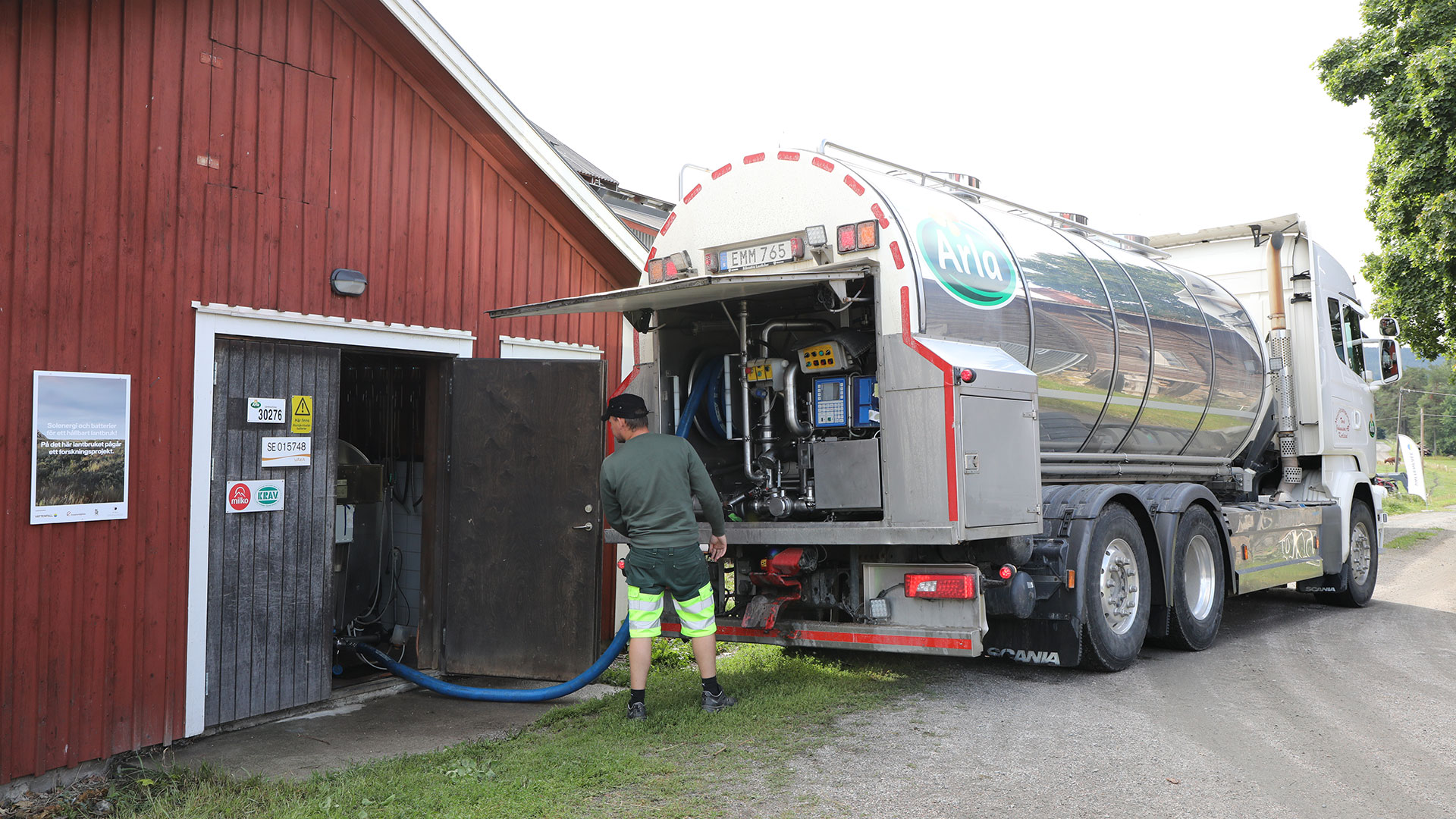 The dairy tank truck collects the organic milk from the farm