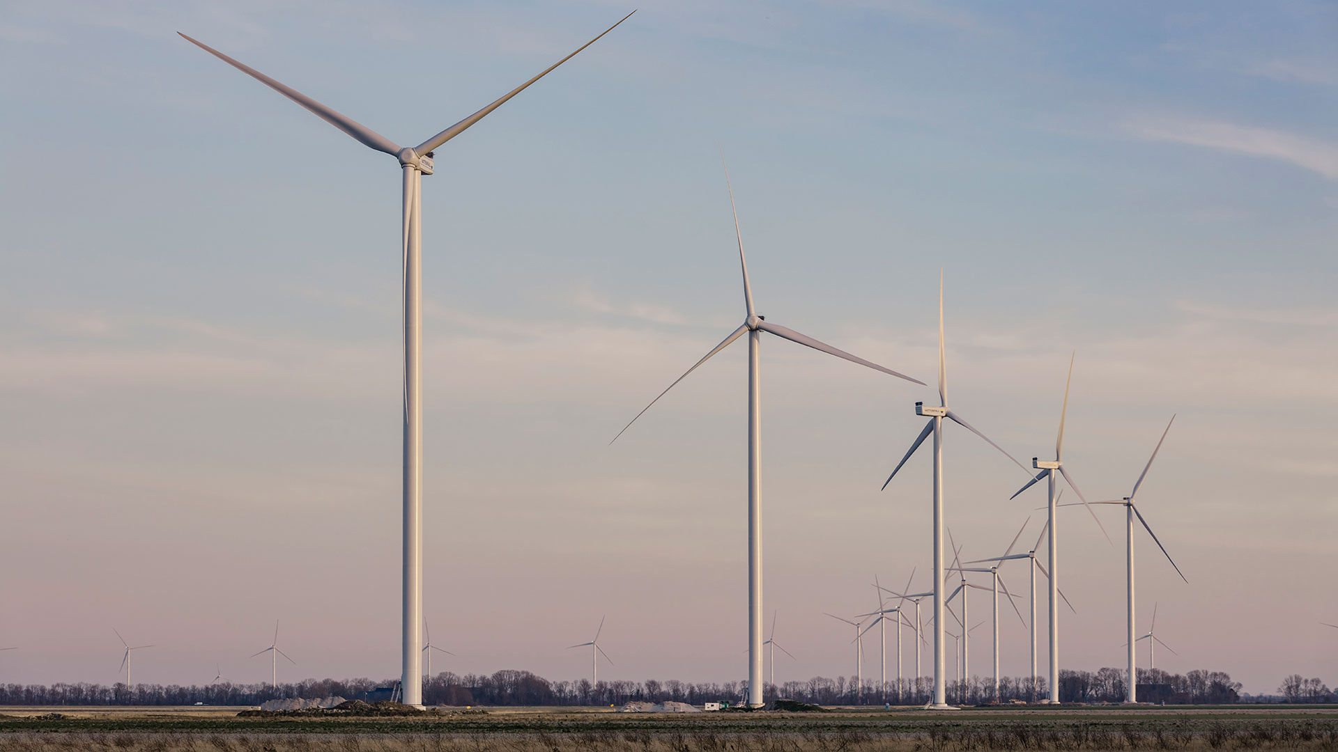 Wieringermeer windfarm. Photo: jlousberg