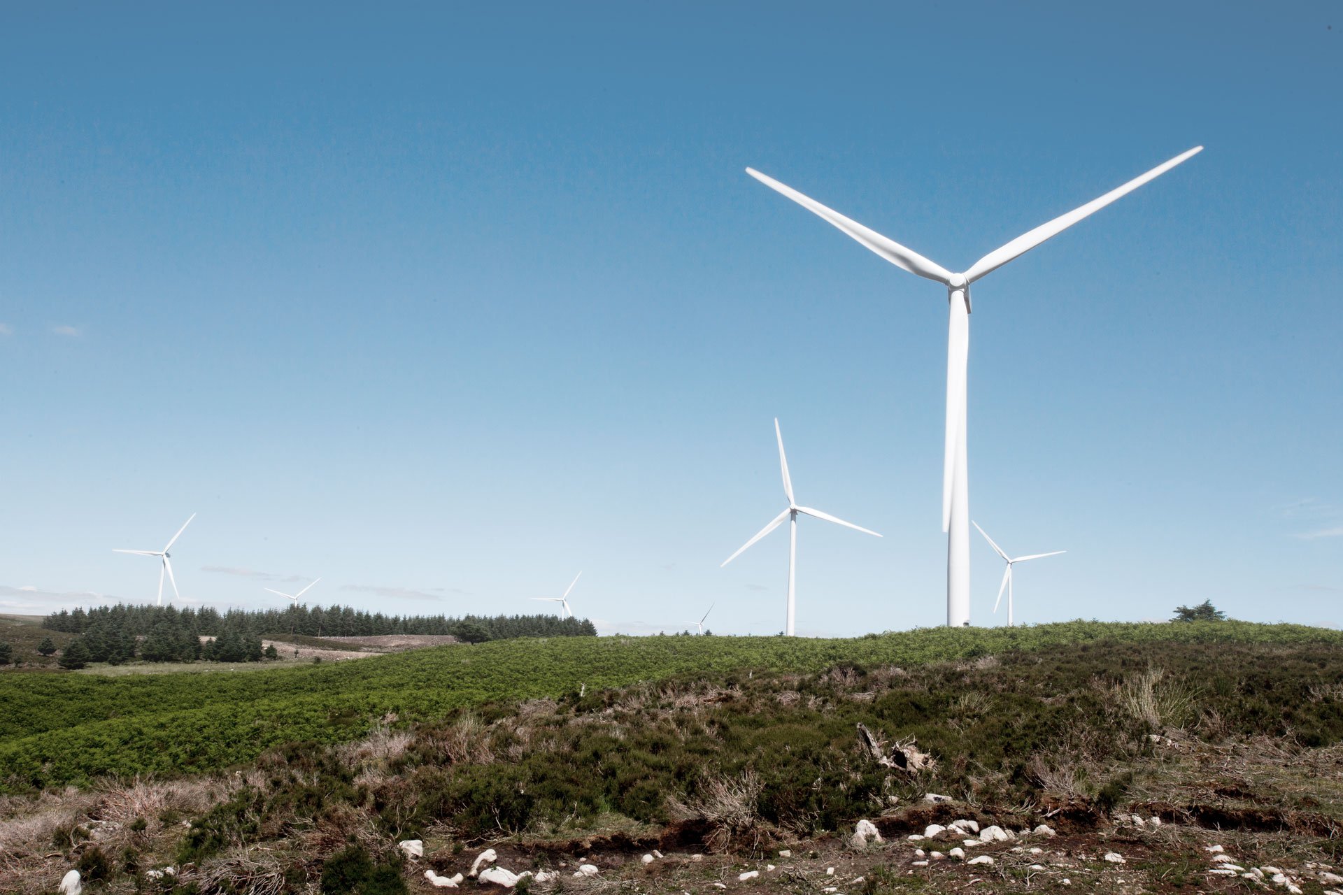 Grannar Till Vindkraftsparker är Mer Positiva Till Vindkraft - Vattenfall