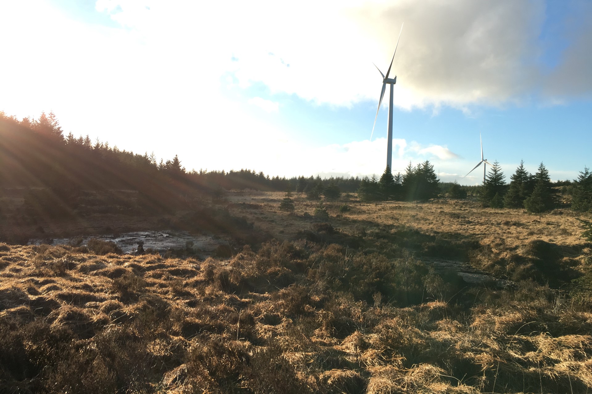 Lost Peatlands at Pen y Cymoedd 