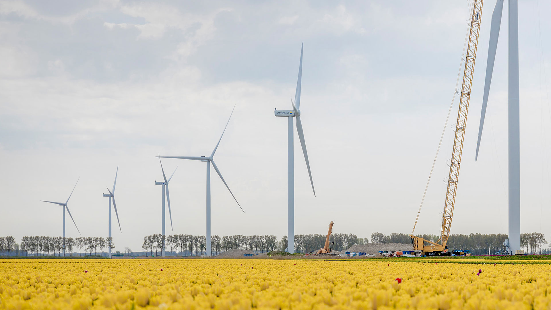Haringvliet energipark i södra Holland