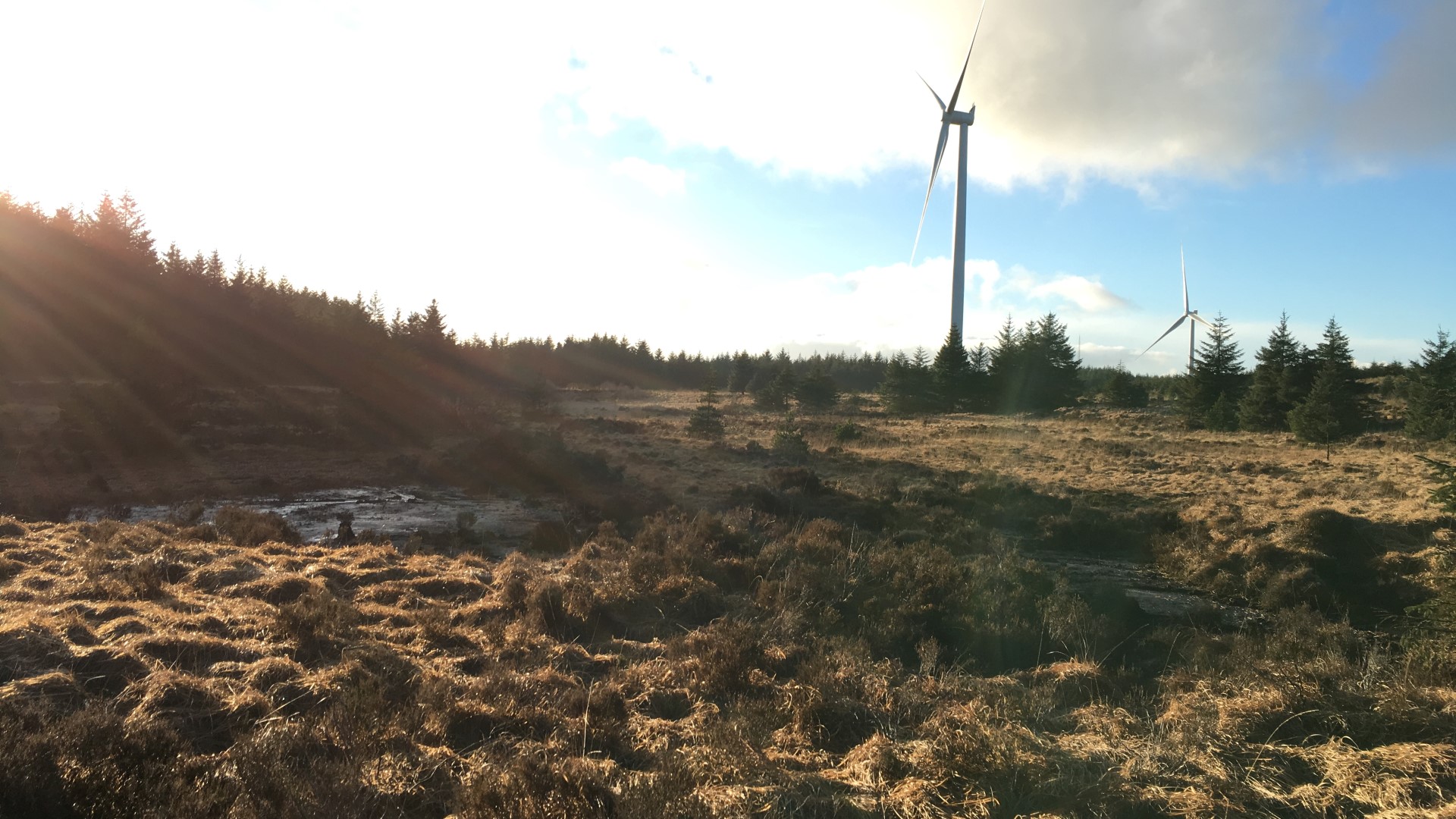 Pen y Cymoedd Lost Peatlands Project and Habitat Management Plan