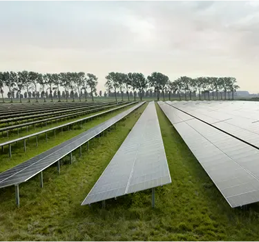 Flera rader med solpaneler installerade på marken.
