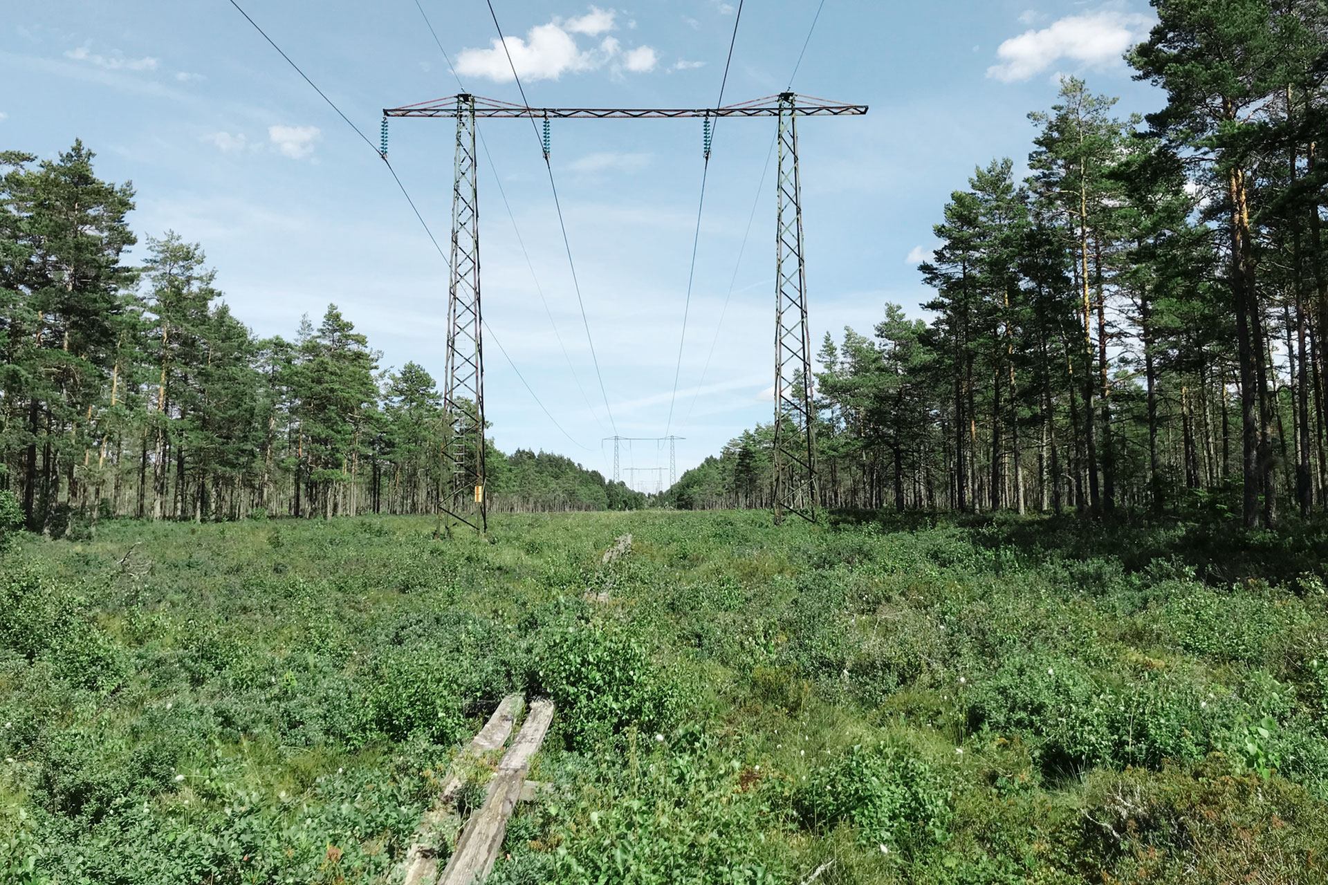 Large-Screen-72-DPI-Vattenfall_Distribution_Biodiversity_40897.jpg