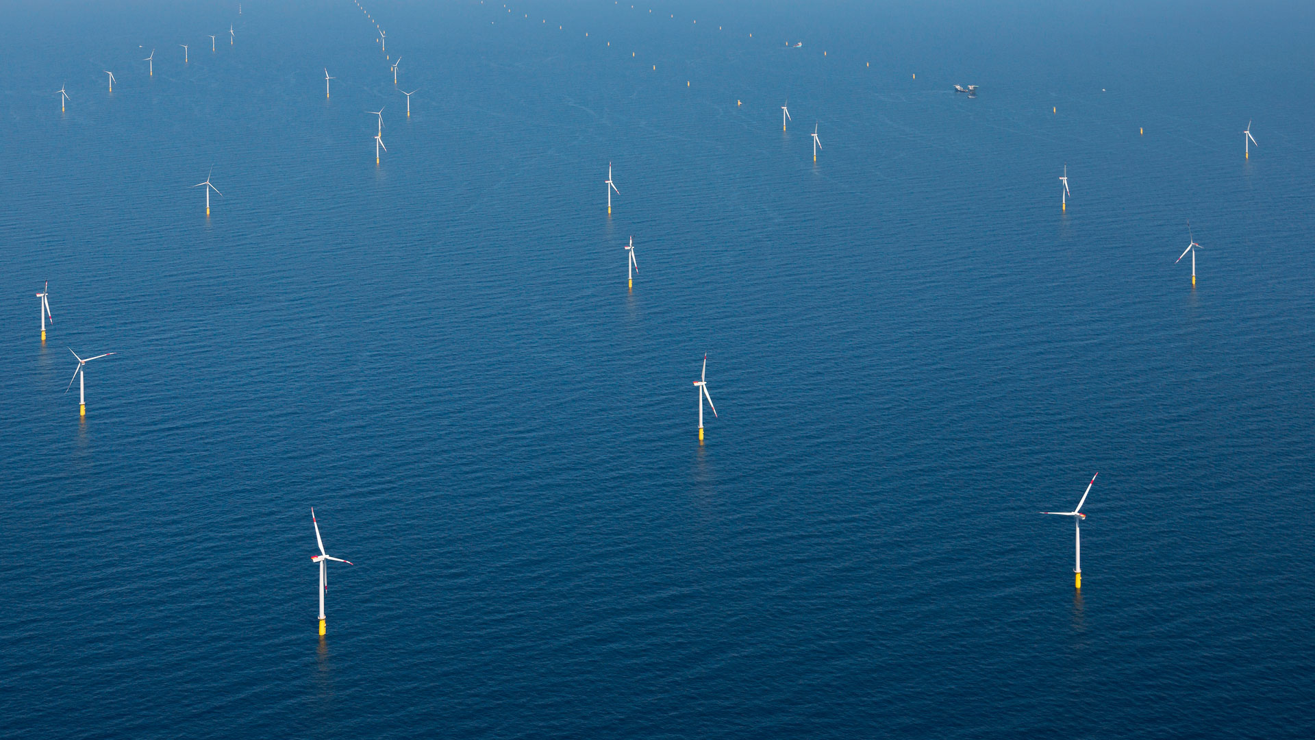 DanTysk offshore wind farm