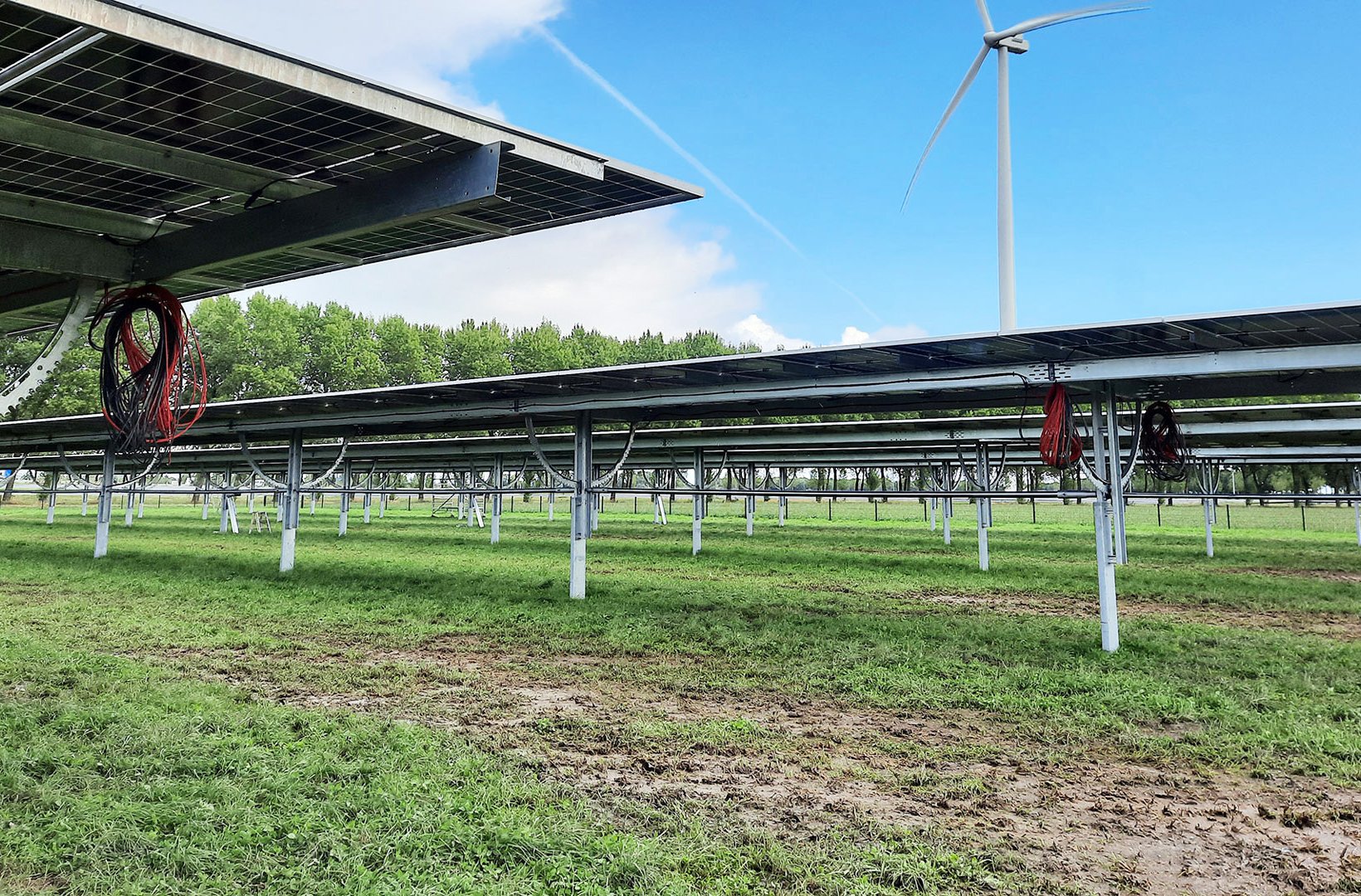 Solarpark mit Reihen von doppelseitigen Solarmodulen und mit Streifen ab, auf denen verschiedene Pflanzen für die biologische Landwirtschaft angebaut werden. 