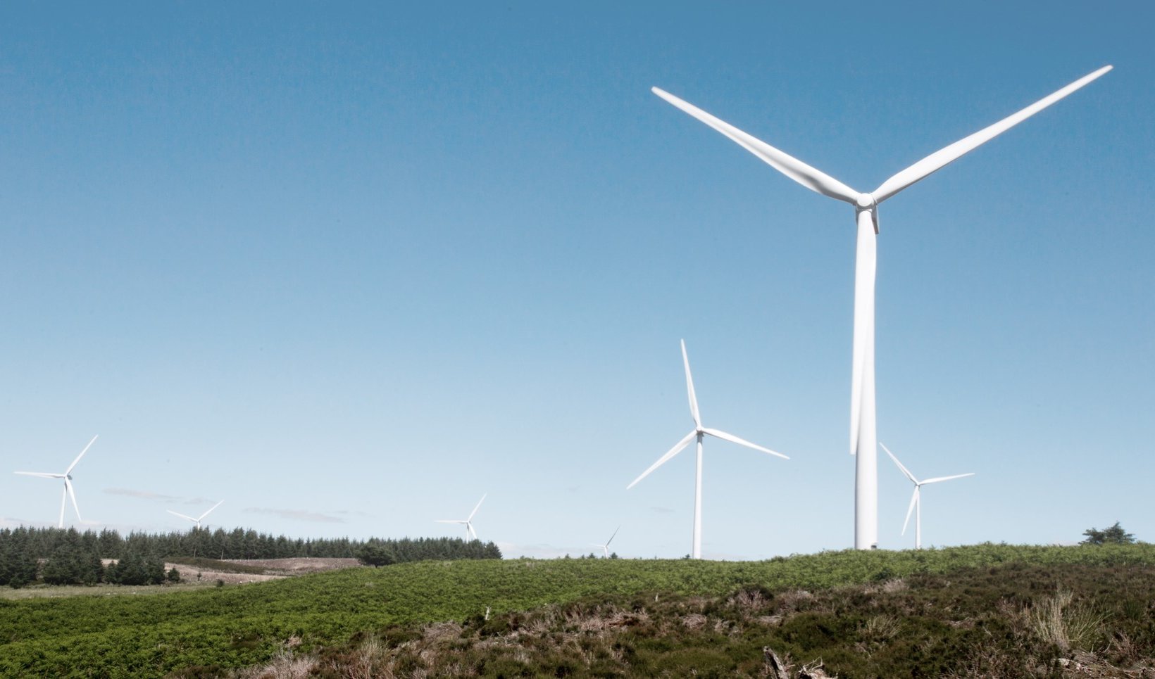 Ray Wind Farm, Northumberland, England.