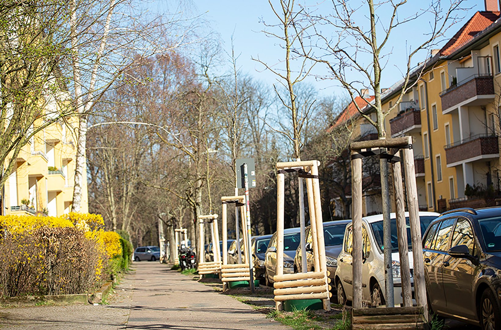 Vattenfall - Stadtbäume Crusemarkstraße