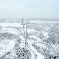 Windpark Blakliden