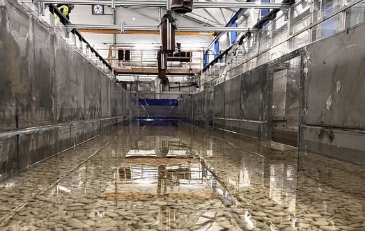 Der Laxelerator, ein großmaßstäbliches Labor mit einer langen Betonrinne und flachem Wasser in Innenräumen, in Älvkarleby. Foto: David Aldvén.