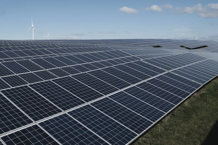 Solarpark mit Reihen von Solarmodulen, die sich über die Landschaft erstrecken, mit Windkraftanlagen im Hintergrund.