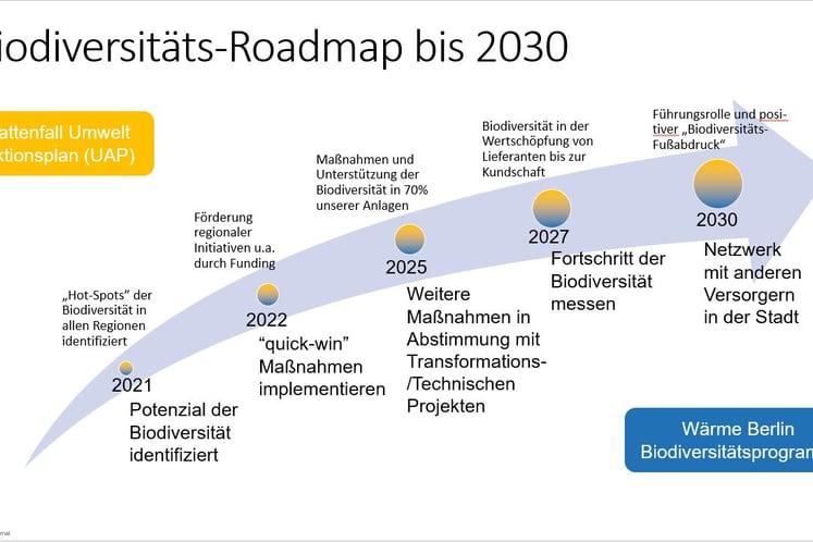 Beschreibung der einzelnen Maßnahmen bis 2030 des Wärme Berlin Biodiversitätsprogramms