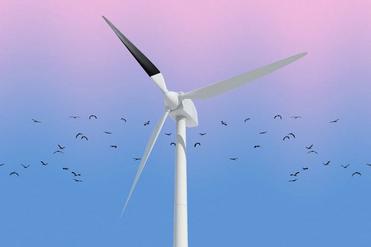 Windkraftanlage mit einem schwarzem Rotorblatt- davor ein Vogelschwarm