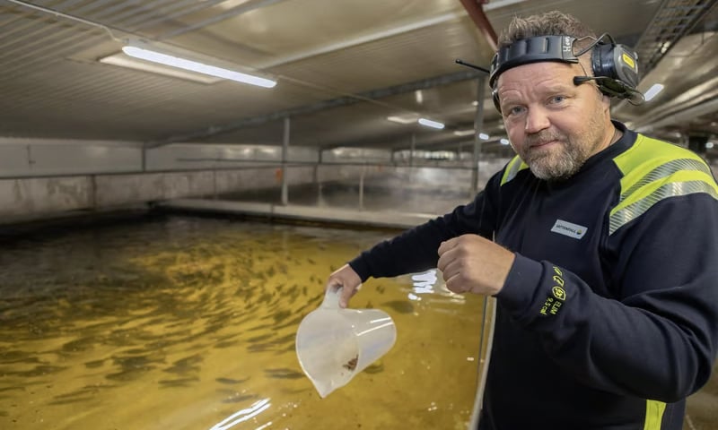 Fischfarmleiter Henri Heimonen vor dem Fischbecken der Fischfarm. Fischfarmleiter Henri Heimonen vor dem Fischbecken der Fischfarm.