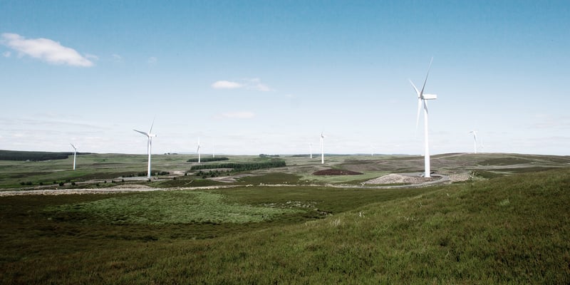 Windpark Ray in Großbritannien Windpark Ray in Großbritannien