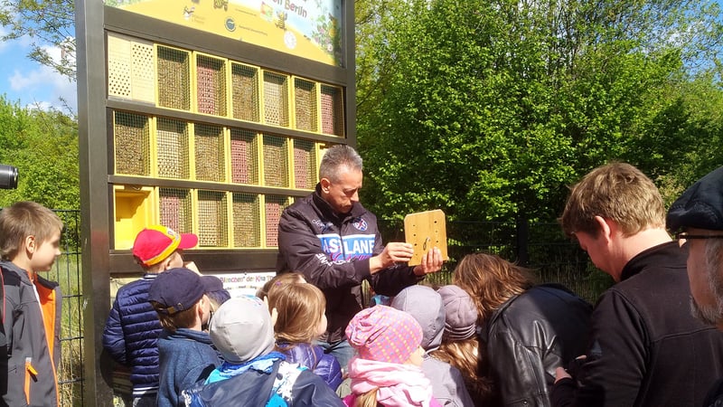 Bienenwald -  Kinder werden informiert