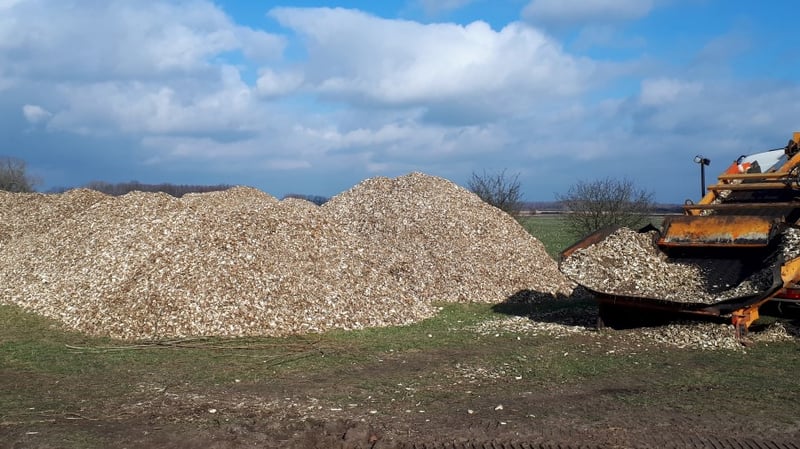 Geschreddertes Energieholz