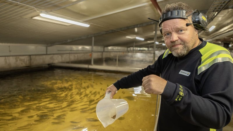 Fish farm manager Henri Heimonen