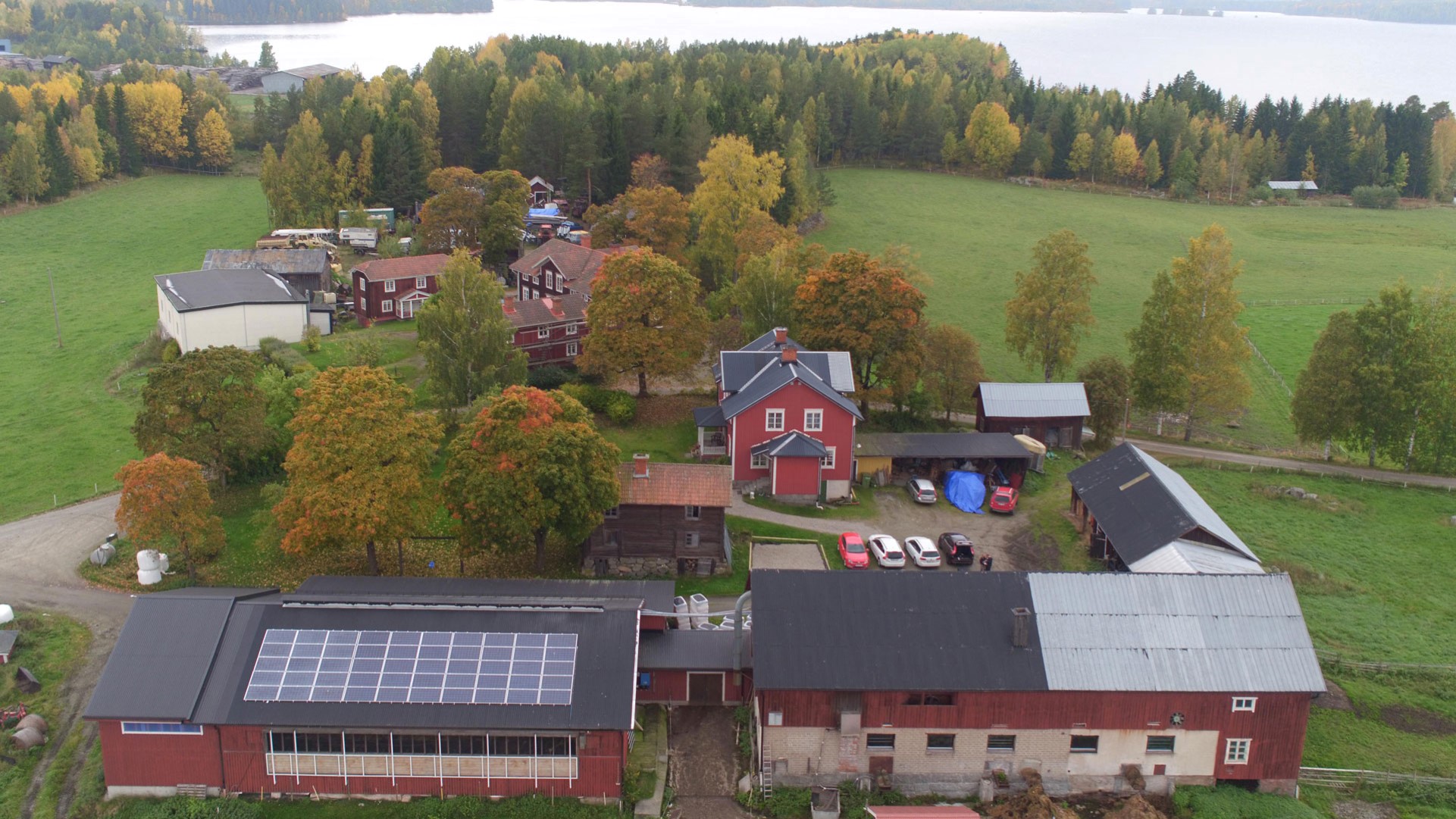 Vattenfalls Solar- und Batterielösung hilft Henrik Johansson and Eva Molin, ihren Biomilchbetrieb in Vallsänge, Schweden, noch nachhaltiger zu betreiben.
