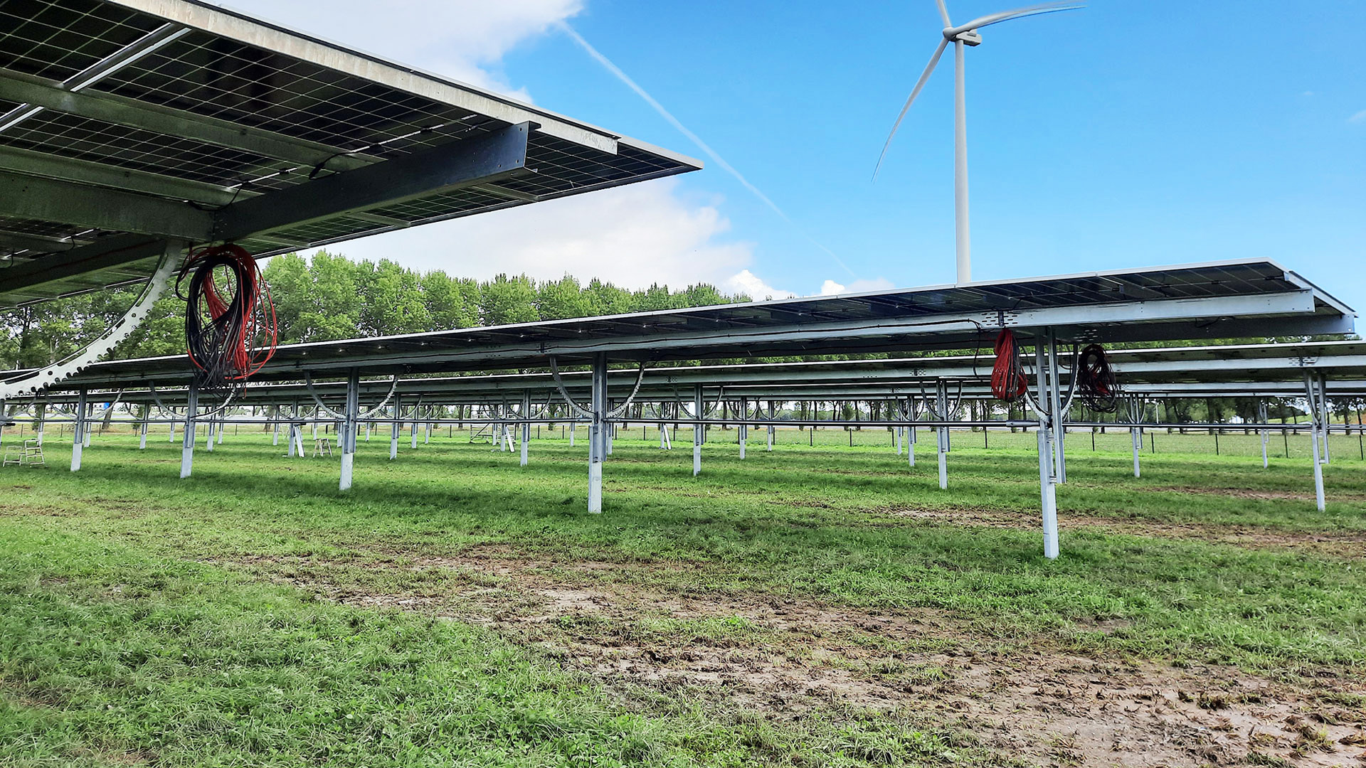Solarpark mit Reihen von doppelseitigen Solarmodulen und mit Streifen ab, auf denen verschiedene Pflanzen für die biologische Landwirtschaft angebaut werden. 