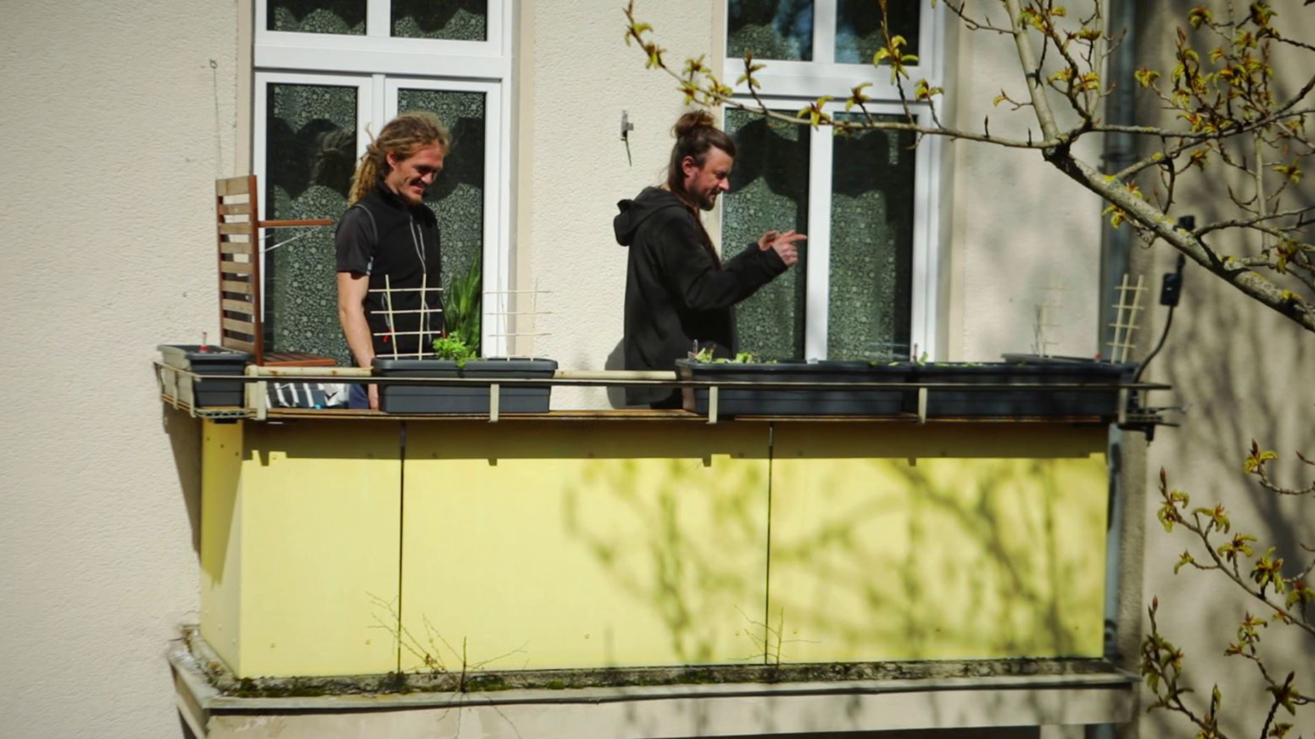 Spreegärtner zeigen Bepflanzung des Balkons