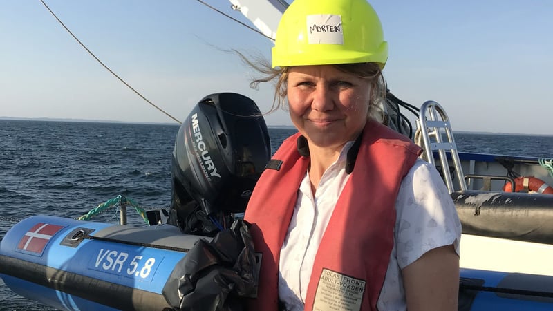 Annette Bruhn, forsker ved Aarhus Universitet og ekspert i havgræs og havgræsdyrkning Annette Bruhn, forsker ved Aarhus Universitet og ekspert i havgræs og havgræsdyrkning