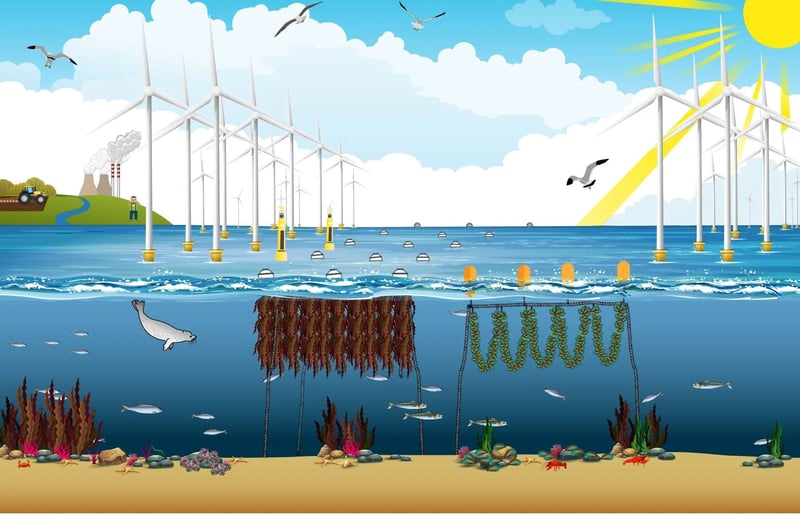 Infografik Infografik