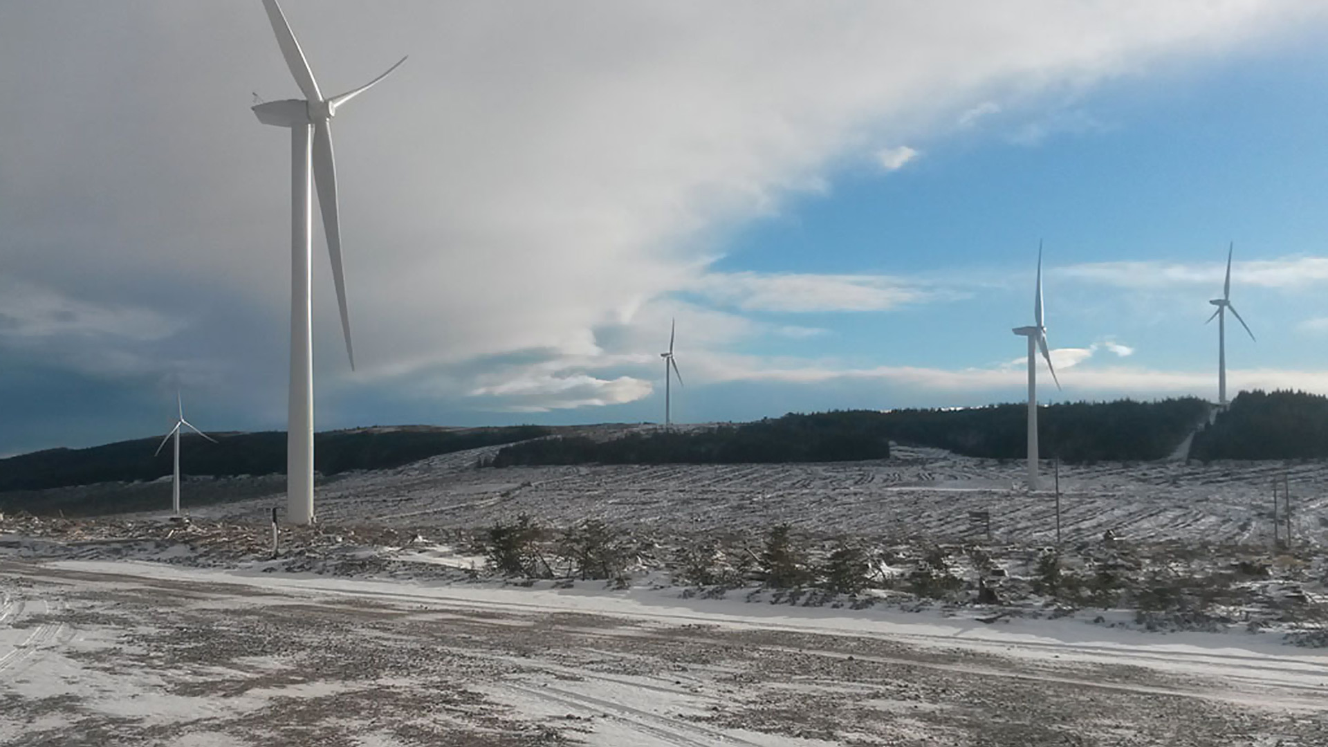 Vattenfalls landbaserede vindmøllepark Clashindarroch i Skotland. Foto: Ross Williams