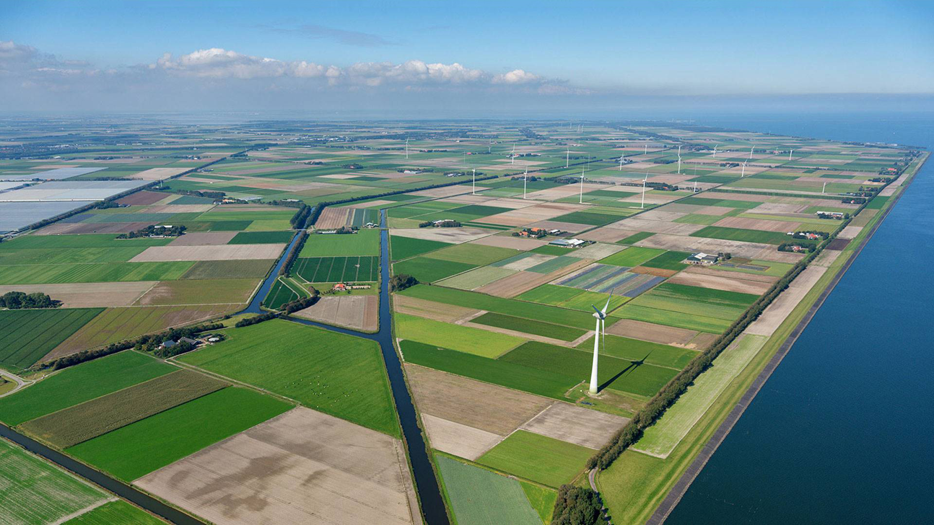 Wieringermeer vindmøllepark i Holland