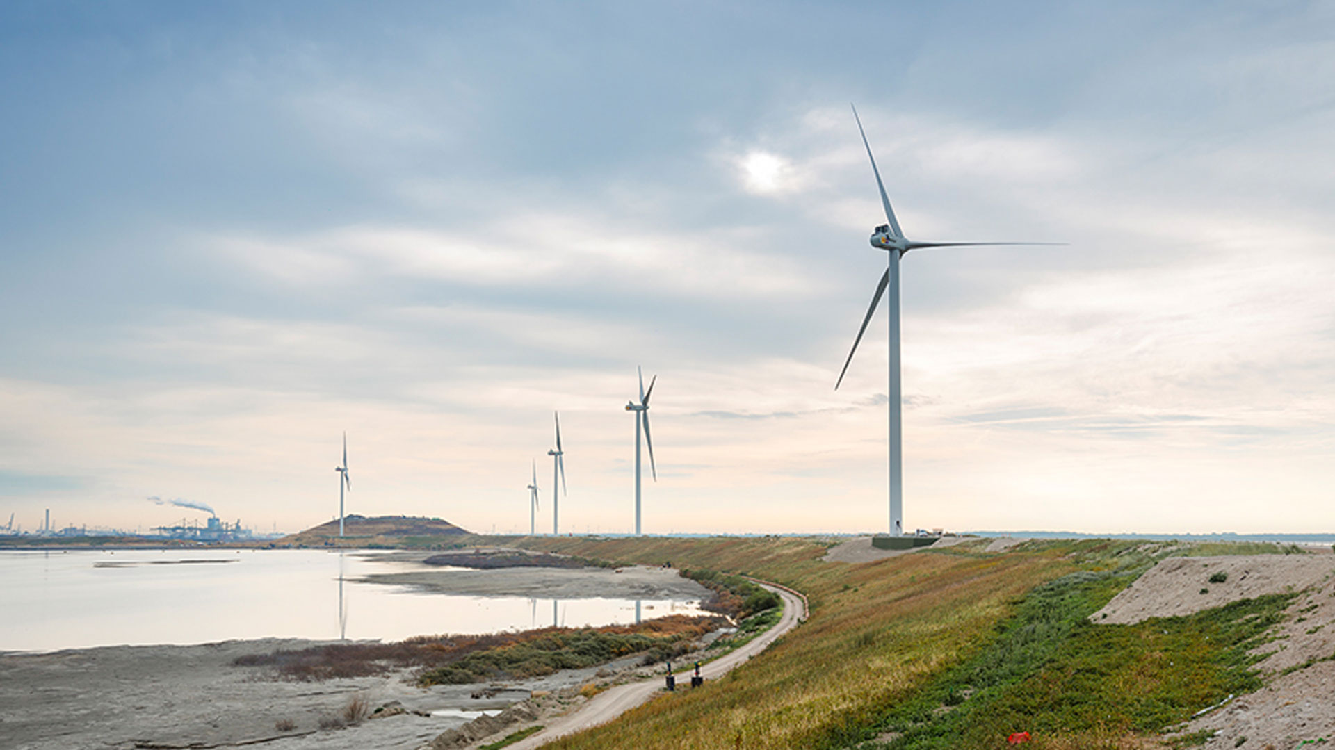 Slufterdam vindmøllepark i Holland