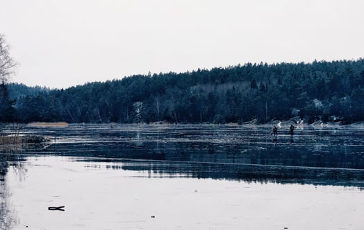 Järvi talvella