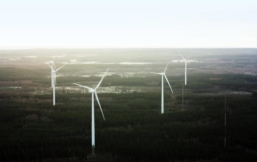 Ilmakuva useista tuulivoimaloista metsämaisemassa.
