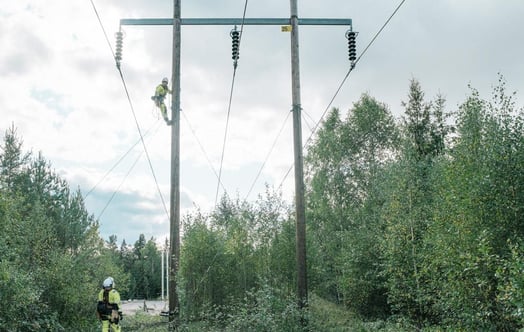 Kaksi teknikkoa työskentelee sähkölinjalla metsäalueella.
