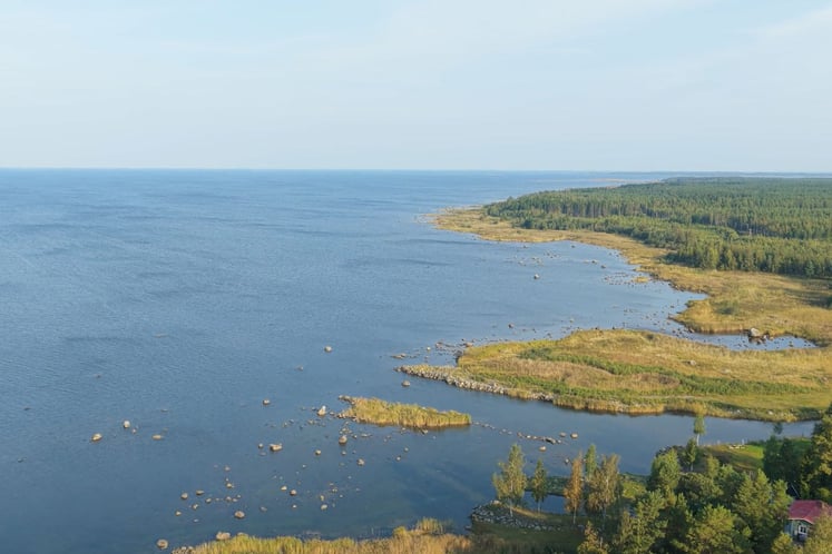 Ilmakuva rannikkoalueesta, jossa näkyy tyyni meri, ruovikkoa, kivikkoinen rantaviiva ja metsää. / Flygbild över en kustlinje med lugnt hav, vassområden, klippiga stränder och skog. Ilmakuva rannikkoalueesta, jossa näkyy tyyni meri, ruovikkoa, kivikkoinen rantaviiva ja metsää. / Flygbild över en kustlinje med lugnt hav, vassområden, klippiga stränder och skog.