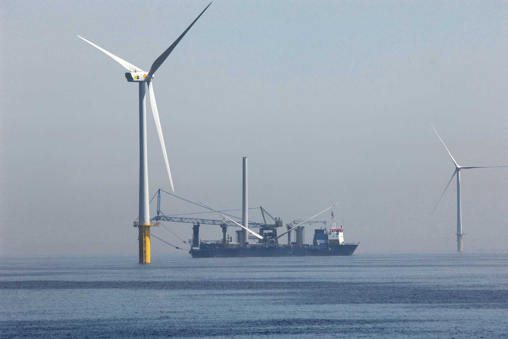 Merituulipuisto Egmond aan zee Alankomaissa Merituulipuisto Egmond aan zee Alankomaissa