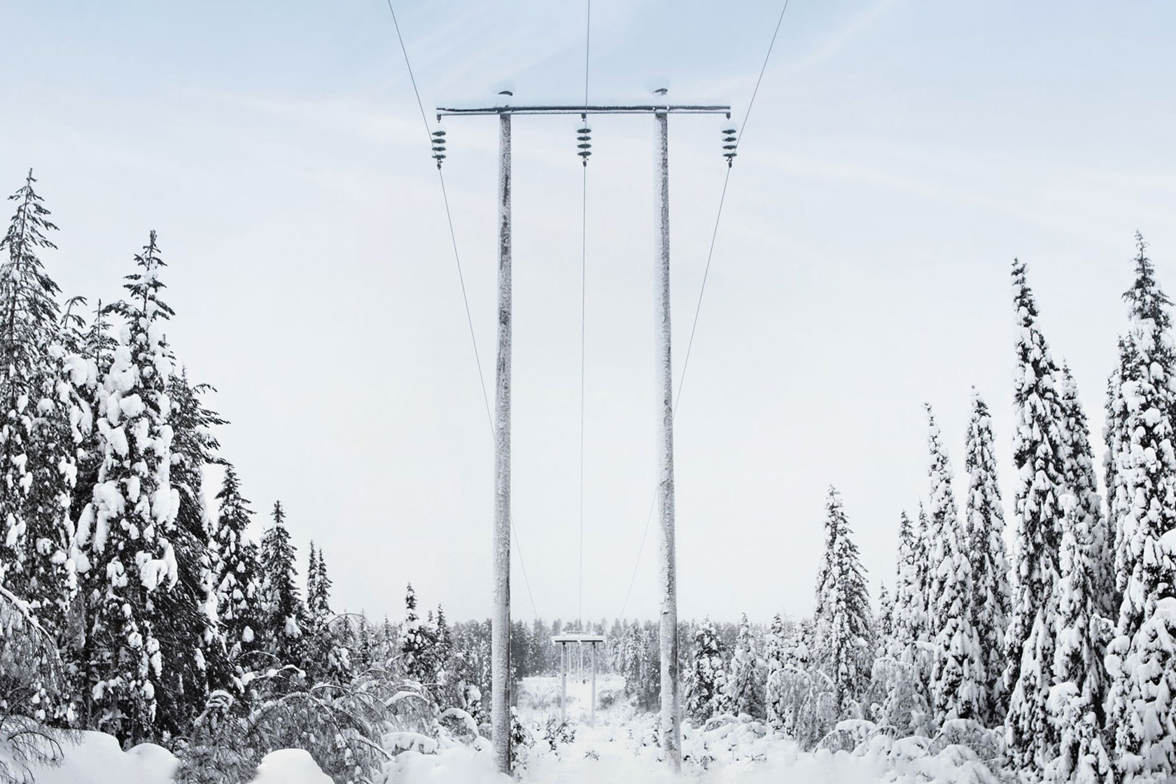 Stromleitungen in einem schneebedeckten Wald