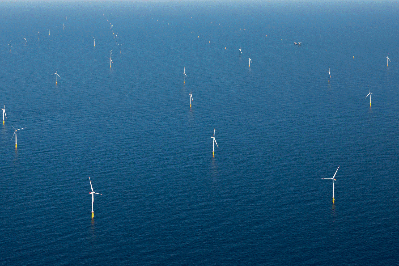 The DanTysk offshore wind farm