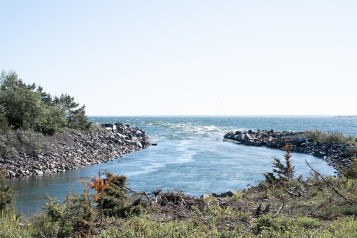 Kylvattnet från Forsmark mynnar ut i havet Kylvattnet från Forsmark mynnar ut i havet