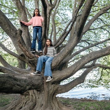 Zwei Mädchen in einem Baum sitzend