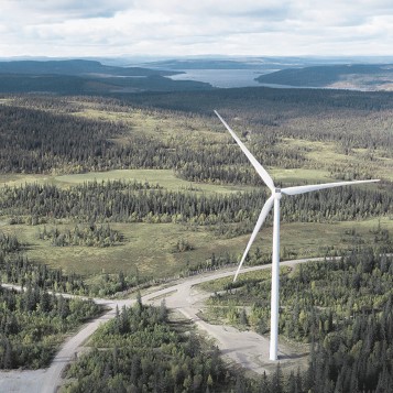 Windkraftanlage in bewaldeter Region