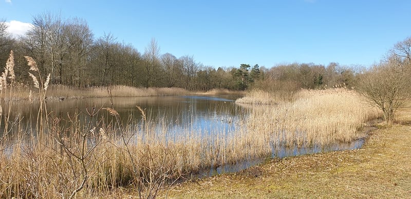 De Tenellaplas De Tenellaplas
