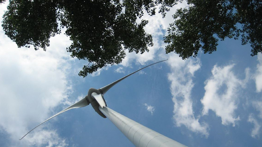 Windturbine in bos