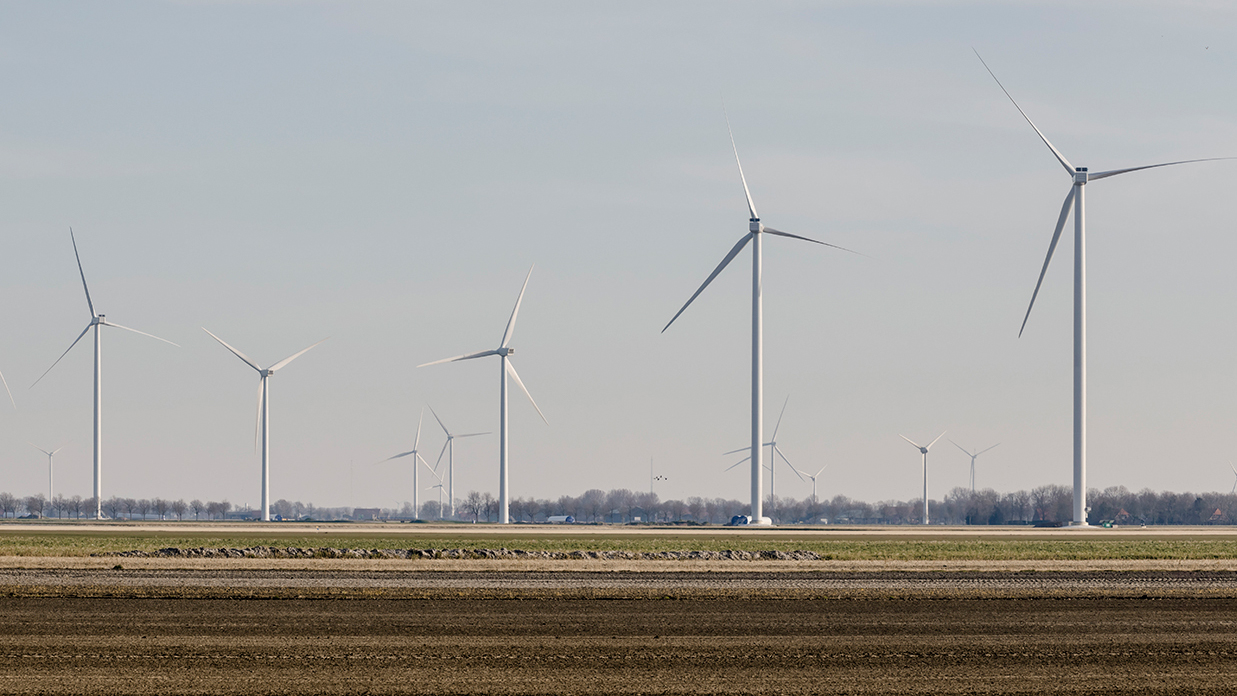 Windpark WIeringermeer