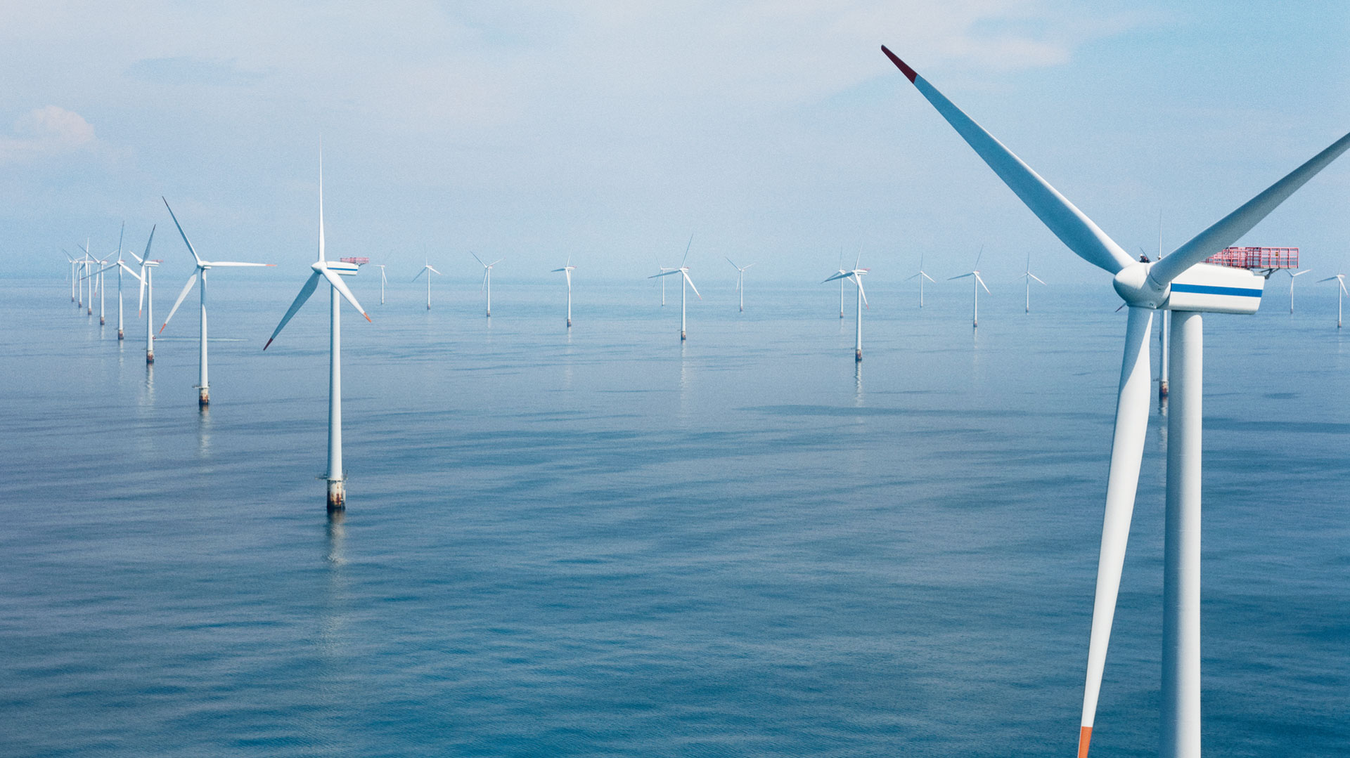 Offshore windpark Horns Rev in Denemarken 