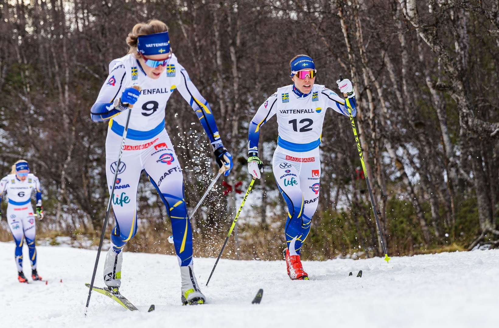 Svenska skidlandslaget