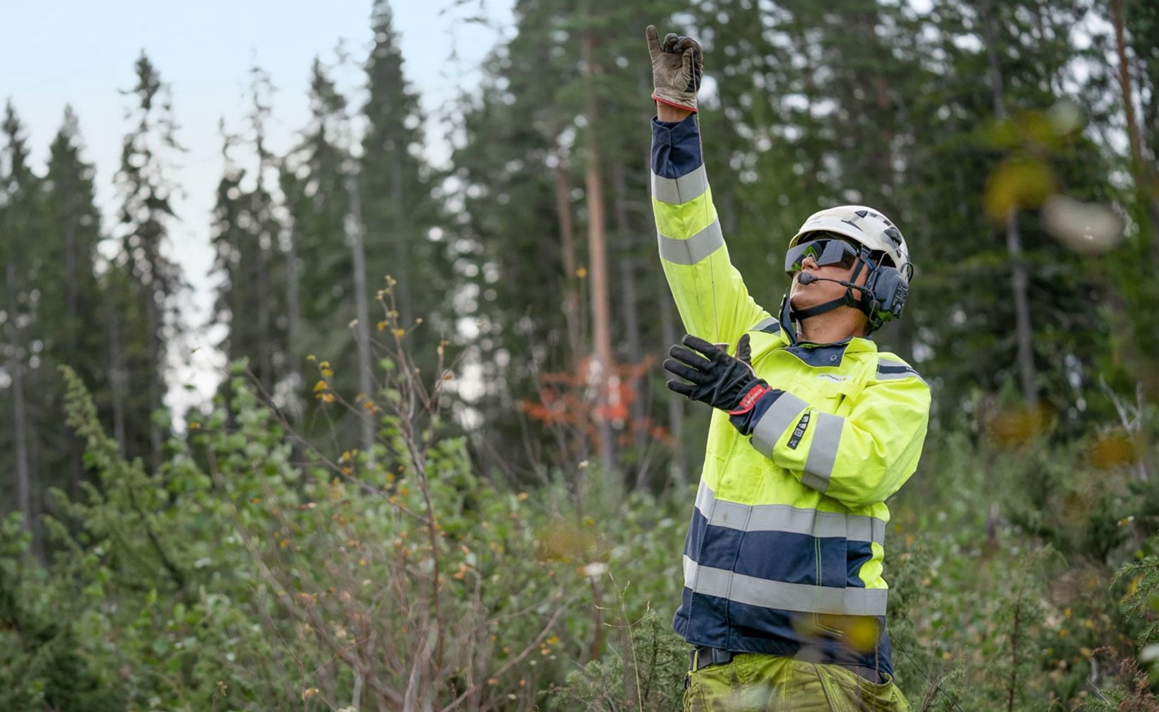 En fältarbetare i varselkläder i en skog.