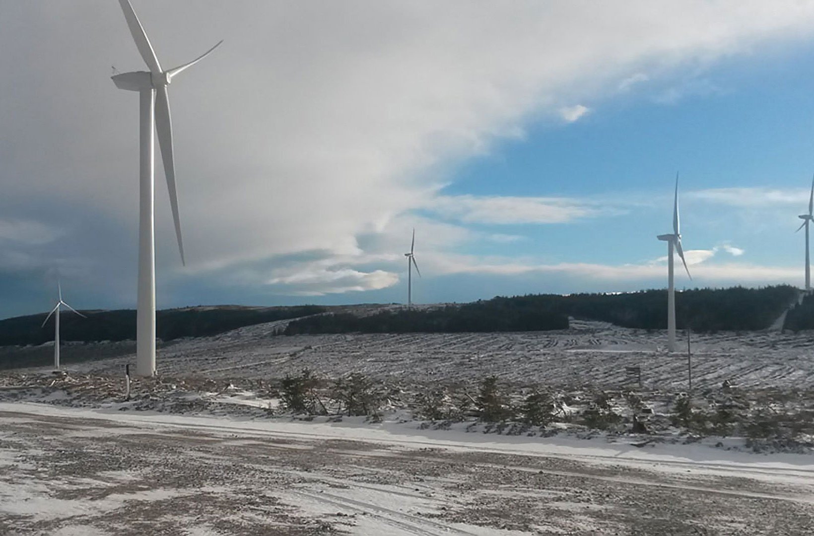 Vindkraftverk i Clashindarroch