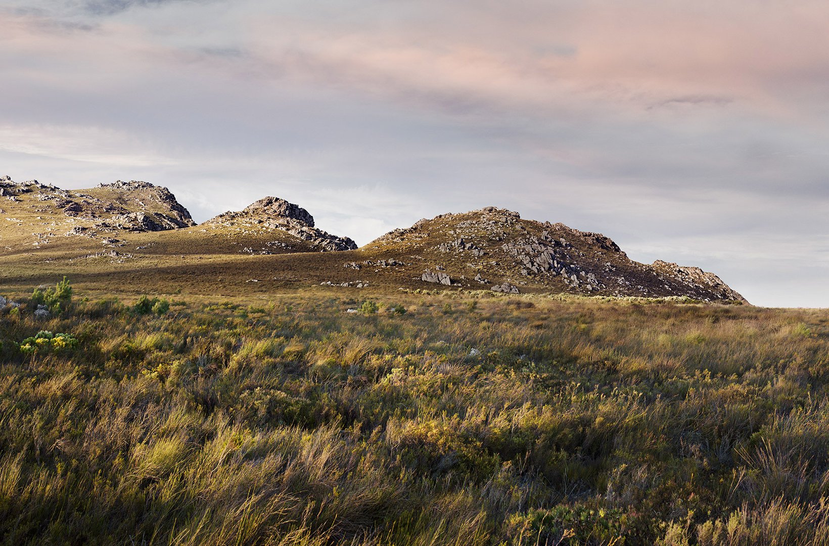 Hedlandskap